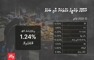 އިންފްލޭޝަން ވިލާގަނޑު ބޯމަތީގައި، މުދަލުގެ އަގު ބޮޑުވަނީ!