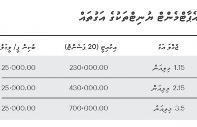 ޕޭން ރިއަލް އެސްޓޭޓް: "ކްލީވިޔާ" އެޕާޓްމަންޓްތައް ހެޔޮ އަގުގައި