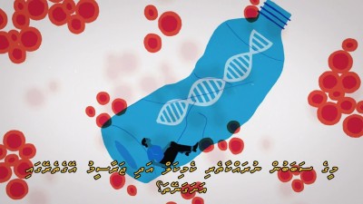 ކޮންމެ 10 މީހަކުން އެކެއްގެ ލޭގައި މައިކްރޯ ޕްލާސްޓިކް: ދިރާސާ