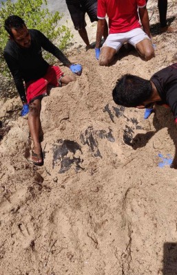 އެއީ މަގޭ ޑްރަގްސް، އޭނާ ދޫކޮށްލާ!