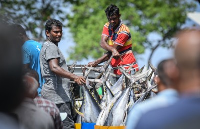 މަސްވެރިކަމުގެ މަނާ ބާވަތްތައް ކަނޑައަޅައި ބޮޑު އަދަދަކުން ޖޫރިމަނާ ކުރަނީ