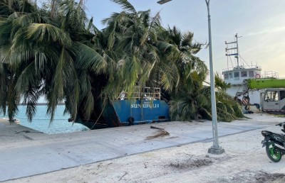 ލަންދޫގައި ރުކަކުން ޖެހި މީހަކު މަރުވެއްޖެ