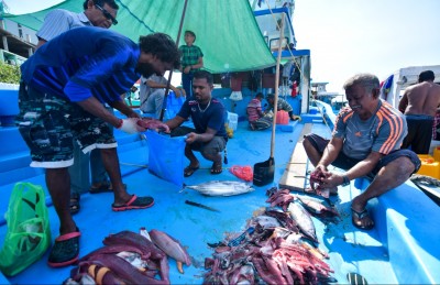 މަސްވެރިކަމުގެ ބިލުން ފުލުހުންނާއި ސިފައިންނަށް ބޮޑެތި ބާރުތަކެއް!