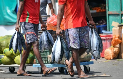 މަސްވެރިކަމުގެ ބިލުން ފުލުހުންނާއި ސިފައިންނަށް ބޮޑެތި ބާރުތަކެއް!
