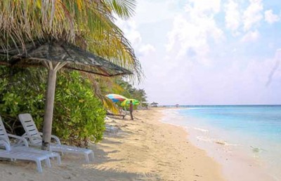 އުކުޅަސް، ސައިންސްވެރިންގެ ކޮންފަރެންސާއި ޓެކްފެއާއަށް ތައްޔާރު
