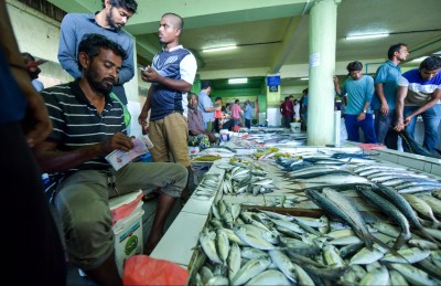 ދަގަނޑު ޖަހައިގެން މަސް ހިފުން މަނާކުރުމާ މެދު ހިޔާލު ތަފާތު