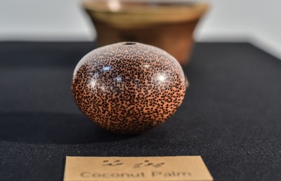 އަޒްމީގެ ހަނދާނުގައި އޭނާގެ ފުރިހަމަ މަސައްކަތްތައް