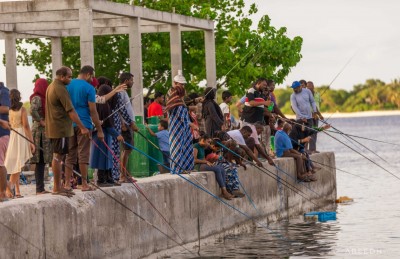 މަސްވެރިކަމުގެ ބިލް މަޖިލިހުން ފާސްކޮށްފި