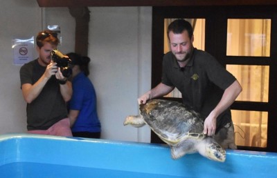 ފޯ ސީޒަންގެ ޕެގީ ހެޔޮ ހާލުގައި، ރާއްޖެ ދޫކޮށް މާ ދުރަށް!