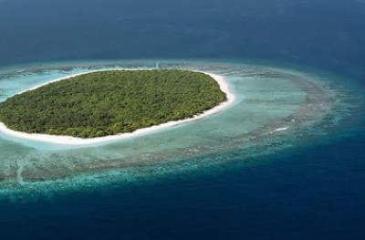 ވަގުތު ހަމަވިއިރު ރިސޯޓު ހަދަން ފައިސާ ދެއްކީ ހަތަރު ކުންފުންޏަކުން