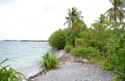 އައްޑޫގައި ގެސްޓް ހައުސް އަޅަން ބިން ދޫކުރަނީ