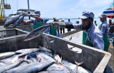މަސްކިރަން ދެކުނަށް ދާ ދޯނިފަހަރަށް އެސްޓީއޯ އިން ހިލޭ ތެޔޮ ދެނީ