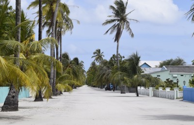 މަގު ހަދަން ރުއްތައް ނެގުމާއެކު ހުޅުދުއްފާރުގެ ރީތިކަން ގެއްލިއްޖެ
