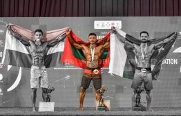 ރީތި ހަށިގަނޑެއް ހޯދަން އަޒުނީންގެ ނުގުޑި އަޒުމް