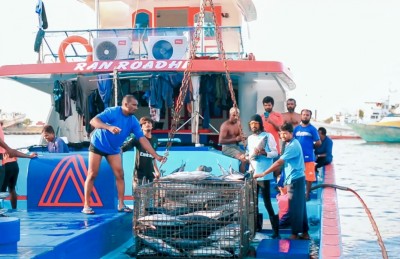 ހޮރައިޒަން ފިޝަރީޒް: މަސްވެރިންނާއި މަހުގެ ކުންފުނި