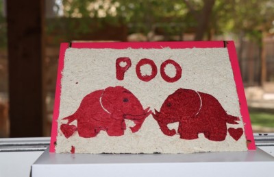 އެތުގެ ނަޖިހުން ތައްޔާރުކުރަނީ ކަރުދާސް