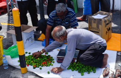 މާރުކޭޓު ހެދުން ލަސްވާތީ ވިޔަފާރިވެރިން ކަންބޮޑުވެއްޖެ