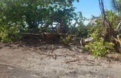 ބާރަށުން ރުއްގަސް ނެގީ ހުއްދަ ނުދެނީސްކަން އެނގުމުން މައްސަލަ ބަލަނީ