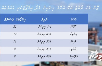މިދިޔަ މަހު އިމްޕޯޓާއި އެކްސްޕޯޓް ވެސް މައްޗަށް