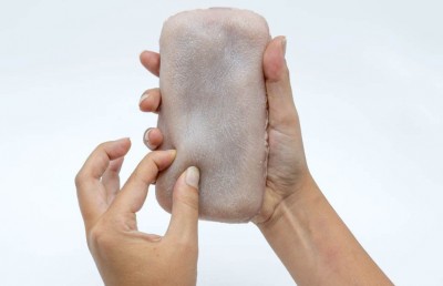 ފޯނަށް އާޓިފިޝަލް ހަން ކަވަރެއް