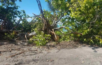 ބާރަށުން ރުއްގަސް ނެގުން ހުއްޓާލަން އީޕީއޭ އިން އަންގައިފި