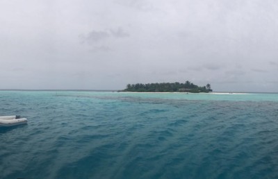 ފުށިދިއްގާއަށް ފުލުހުން ގޮސް މައްސަލަ ތަހުގީގު ކުރަނީ