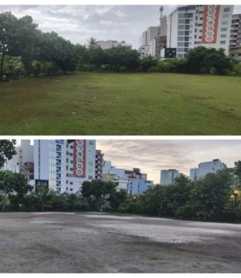 ލޮނުޒިޔާރަތް ޕާކުގެ ވިނަގަނޑު މައްޗަށް ދޮންވެލި އަޅައިފި