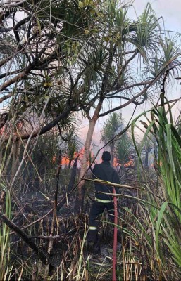 ހިތަދޫ ކުޅި ސަރަހައްދުގައި ރޯވެއްޖެ