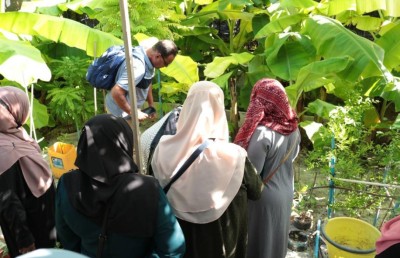 މާލެ ސަރަހައްދުގެ ގެތަކުގައި ގަސް ހައްދާ މީހުންނަށް އެމްއައި ކޮލެޖުގެ ތަމްރީނު ޕްރޮގްރާމެއް