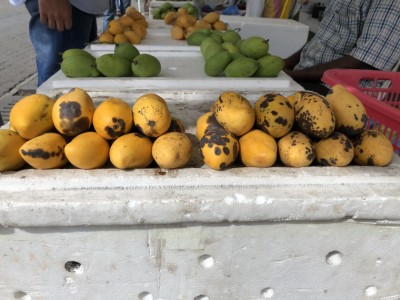 މުޅި މާރުކޭޓުގައި ފުވައްމުލަކު އަނބު