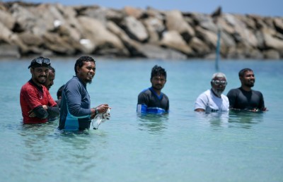 އެންމެ އަޑިއަށް ފީނާ މީހާ ރާއްޖެ އަންނަނީ