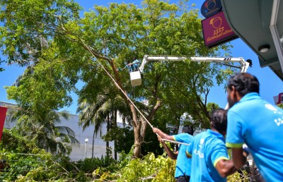 އަމީނީމަގުން ގަސް ކަނޑާތީ މަޖިލީހަށް މައްސަލަ ހުށަހަޅައިފި