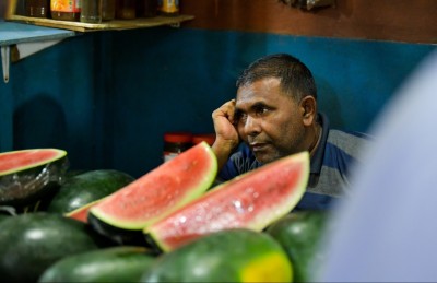 ކަރާ ފަދަ ބާވަތްތައް އެސްޓީއޯ އިން މި ވަގުތު ނުގަންނާނެ