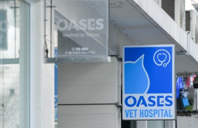 ބުޅާތައް މަރުވިގޮތް ބަލަނީ، އިހުމާލެއް އޮތް ކަމަކަށް އަދި ނުފެނޭ: އޮއޭސިސް