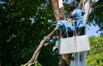 މީމުޒަވިޔަނި ވިދާޅުވަނީ އިންދާފައި ވަނީ މަގާ އެކަށީގެން ނުވާ ގަސްތަކެއް ކަމަށް!