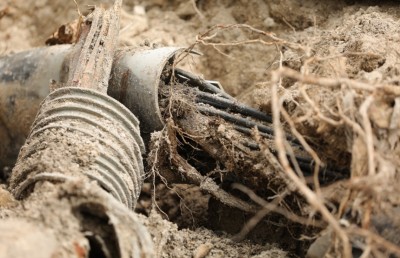 މީމުޒަވިޔަނި ވިދާޅުވަނީ އިންދާފައި ވަނީ މަގާ އެކަށީގެން ނުވާ ގަސްތަކެއް ކަމަށް!