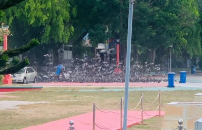 ކޮތަރުތަކަށް އެބަ ކާންދެން، ލޭ ހަދިޔާ ކުރަން: ކޮމިޝަނަރު ހަމީދު