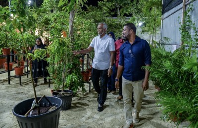 ކައުންސިލްގެ ގަސް ފިހާރައިން އެހެން ފަރާތްތަކަށް ވާނީ ފައިދާ: މުއިއްޒު