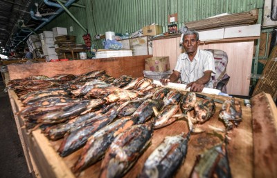 ސަމީއުބެ މަސްކެއްކުމުގައި ބައިގަރުނު