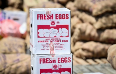 އެސްޓީއޯ އިން ބިހާއި ފިޔާ ހޯލްސޭލްކޮށް ވިއްކަން ފަށައިފި