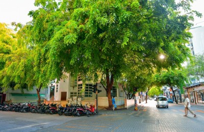 ލޮކްޑައުންގެ ސަބަބުން މާލެ ނާދެވިފައި ތިބި މީހުން ކައުންސިލަށް އަންގަން އެދެފި