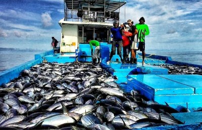 ސަރުކާރުން މަސްދޯނި ބަނދެ، ލޯނު އުސޫލުން ދޫކުރަން ހުށަހަޅައިފި