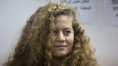 ޖަލު ހުކުމް ތަންފީޒުކޮށް ނިމުމުން އަހަދު ތަމީމީ ދޫކޮށްލައިފި