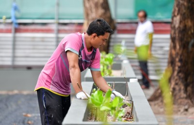 ހުރަވީ ބިލްޑިންގް ބިމުގައި ހަދާ ޕާކުގައި 226 ސައިކަލުގެ ޕާކިން ޒޯނެއް