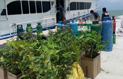 ފޭރު ގަސްތަކުގެ އަގު ސިޓީ ކައުންސިލުން ނުދީގެން ޒުވާން ދަނޑުވެރިޔާ ޝަކުވާކުރަނީ