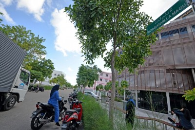 އެންސިސްގެ ދެ މިލިއަނަށް ވުރެ ގިނަ ރުފިޔާ ފޭރުނު މައްސަލާގައި 6 މީހަކު ހައްޔަރު ކޮށްފި