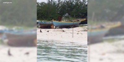 ޅޮހިން ފުރި ދޯންޏެއްގެ ހަބަރު ނުވެގެން ހޯދަނީ