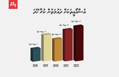 ބައެއް ކުންފުނިތަކާ ހެދި ދައުލަތަށް ބުރަ ބޮޑުވަނީ!