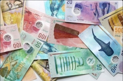 ސްޓޮކް ދައްވުުމުން 10 އަދި 100 ރުފިޔާގެ އިތުރު ނޫޓުތައް ދައުރު ކުރަނީ