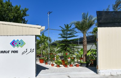 ދެން އަޅާނެ ފިޔަވަޅަކީ ގަސް ފިހާރަ ބަންދުކުރުން: މިނިސްޓްރީ